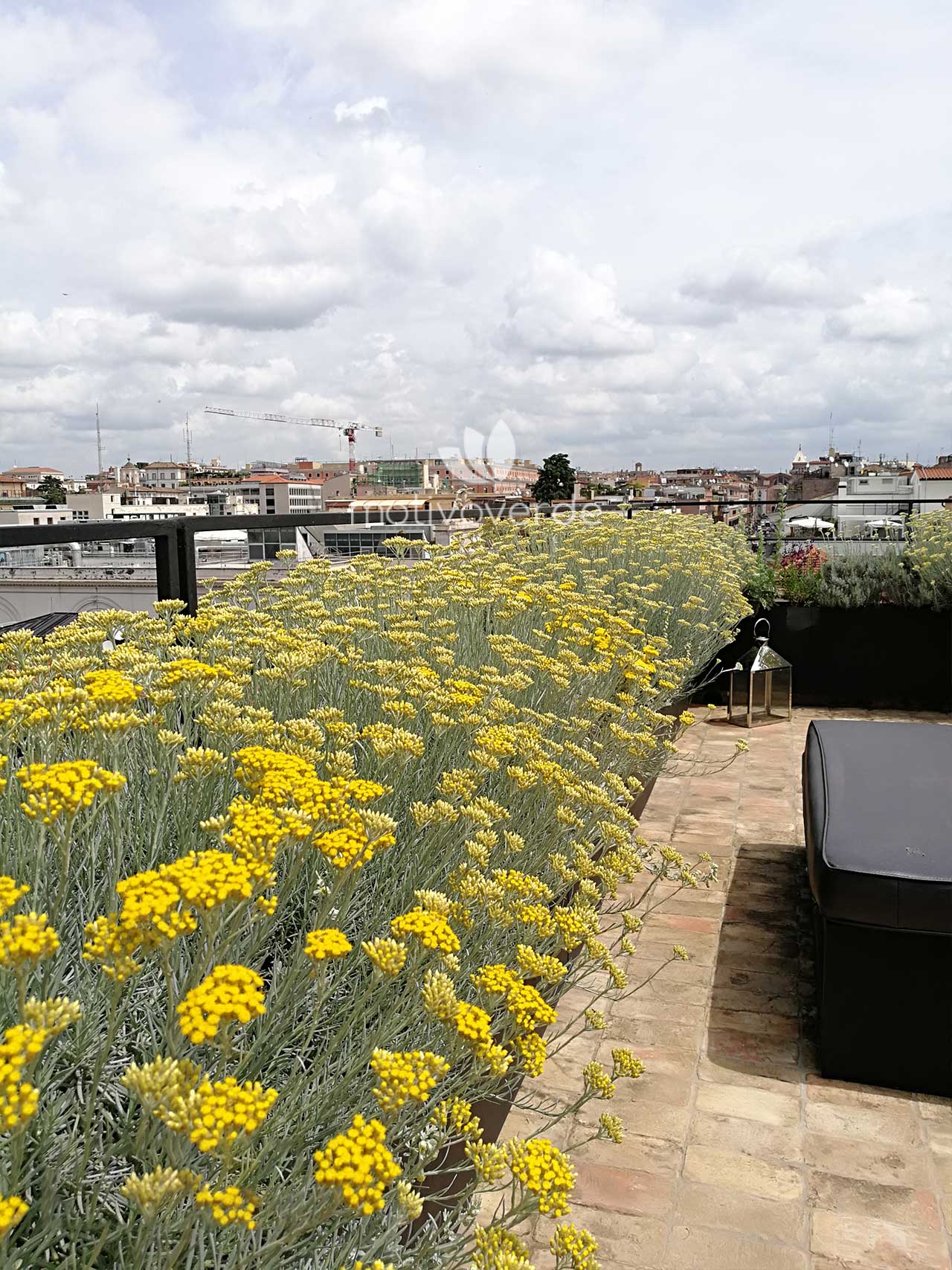 Progetti-motivoverde_terrazza-via-nazionale-4