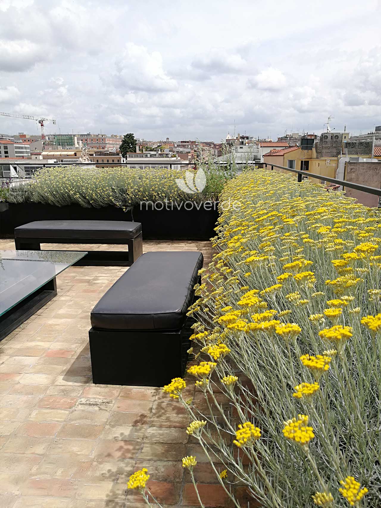 Progetti-motivoverde_terrazza-via-nazionale-5