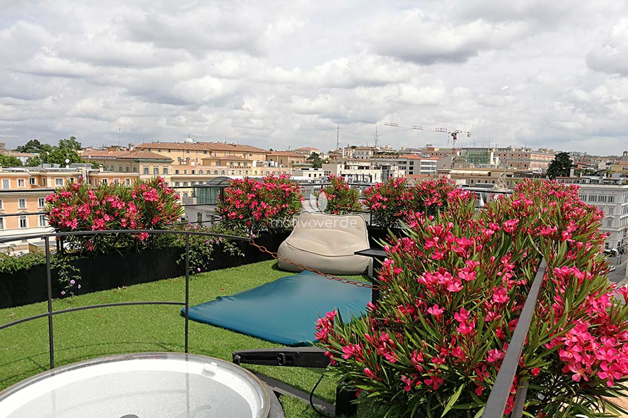 Progetti-motivoverde_terrazza-via-nazionale