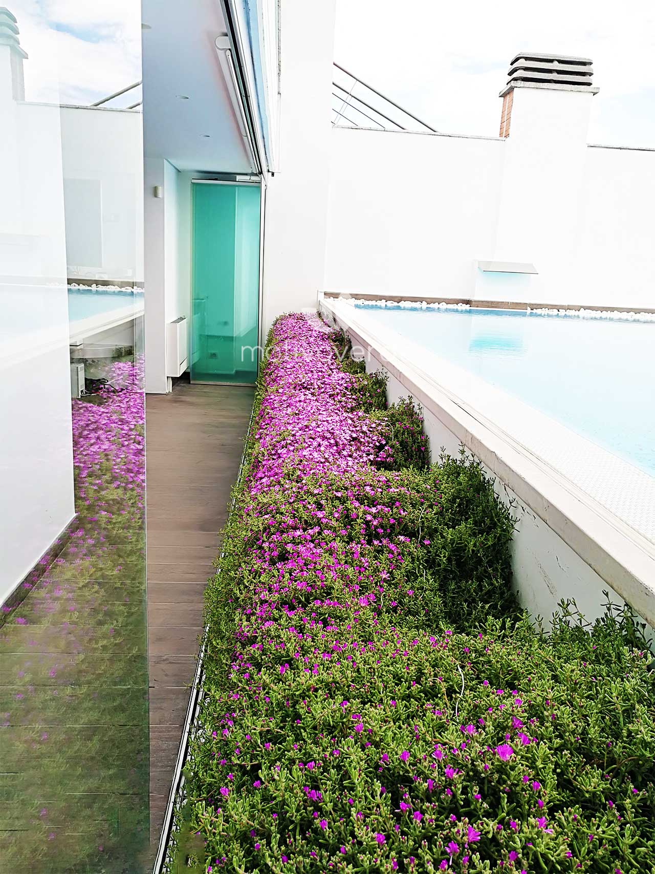 Verticale-progetti_Motivoverde_Aquilani-2