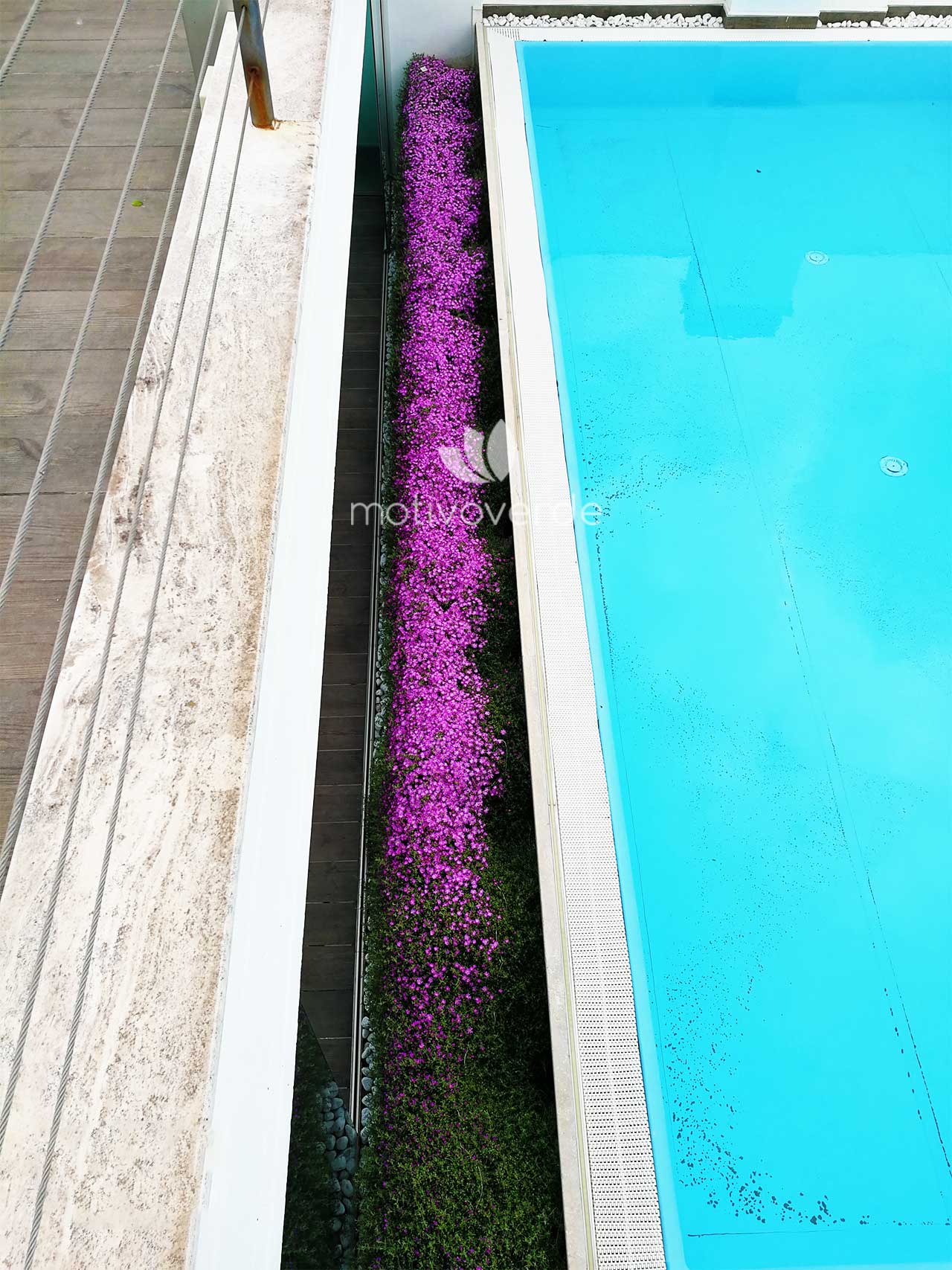 Verticale-progetti_Motivoverde_Aquilani-3