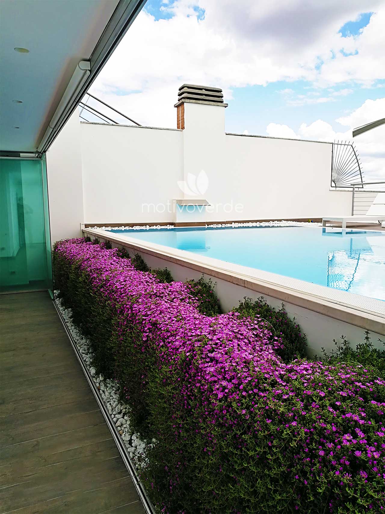 Verticale-progetti_Motivoverde_Aquilani