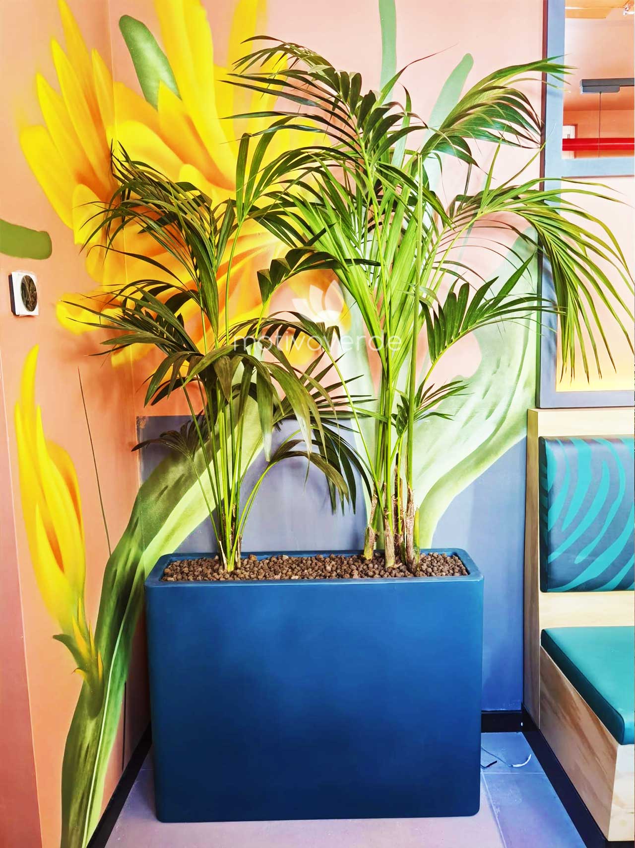 Verticale-progetti_Motivoverde_Jo&Jo