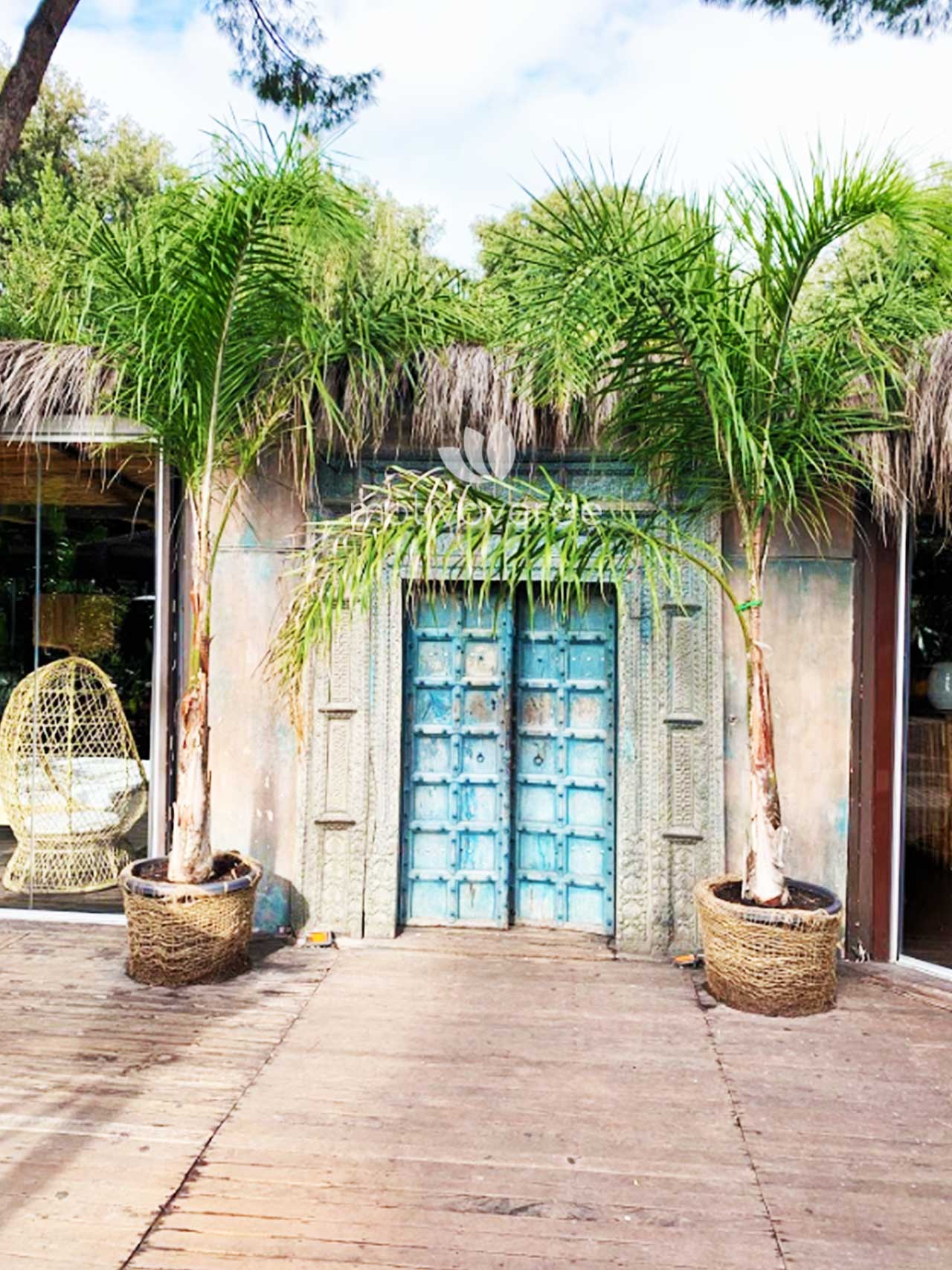 Verticale-progetti_Motivoverde_The-Sanctuary-Roma-11