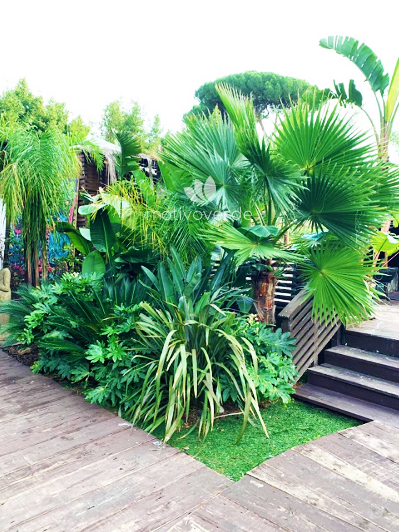 Verticale-progetti_Motivoverde_The-Sanctuary-Roma-12