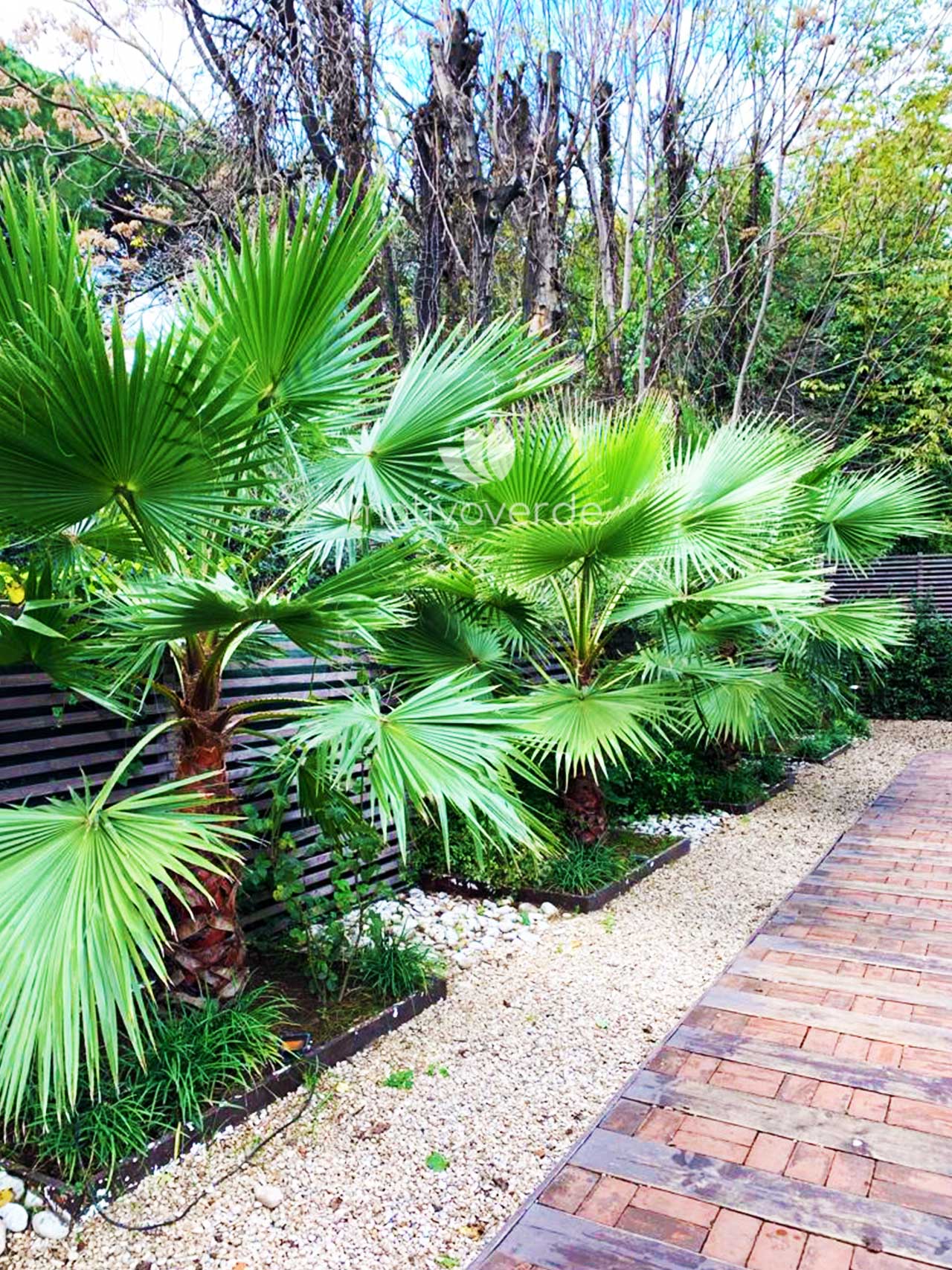 Verticale-progetti_Motivoverde_The-Sanctuary-Roma-2