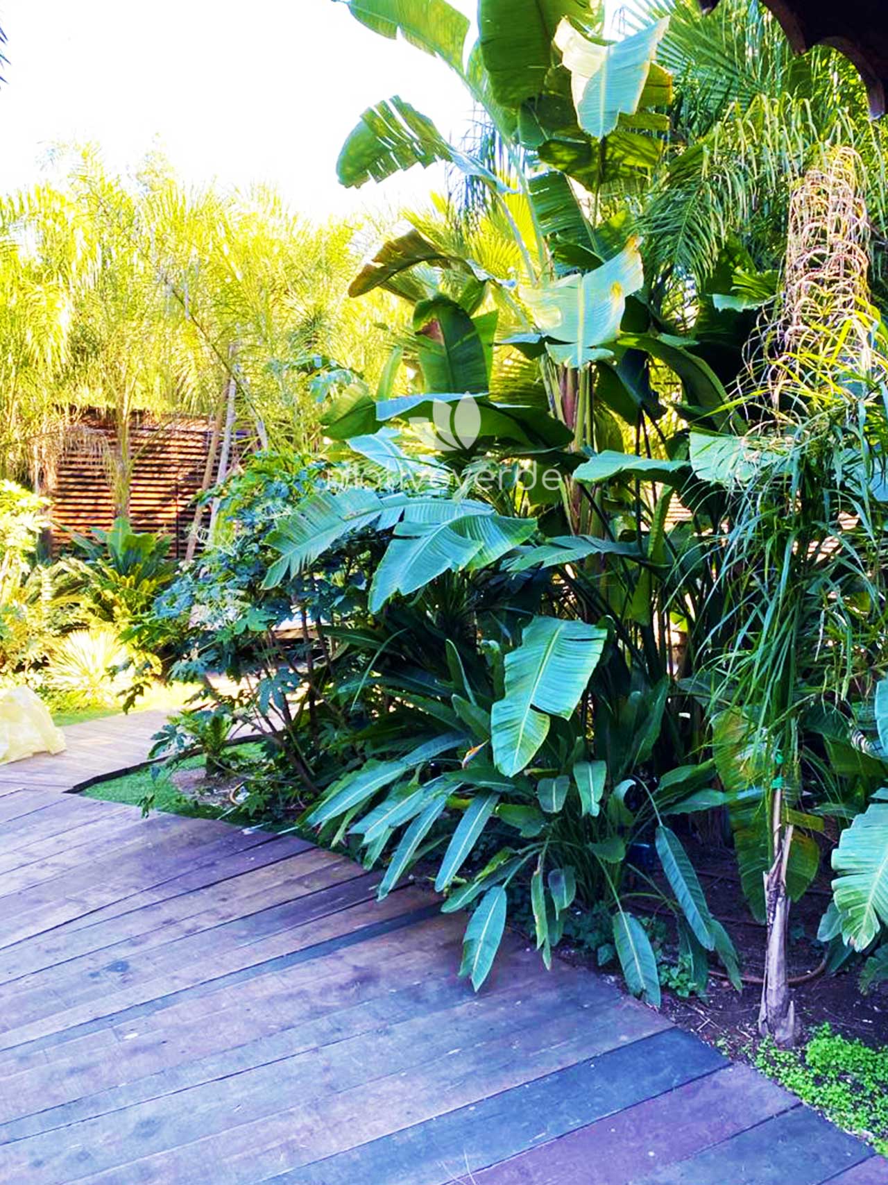 Verticale-progetti_Motivoverde_The-Sanctuary-Roma-4