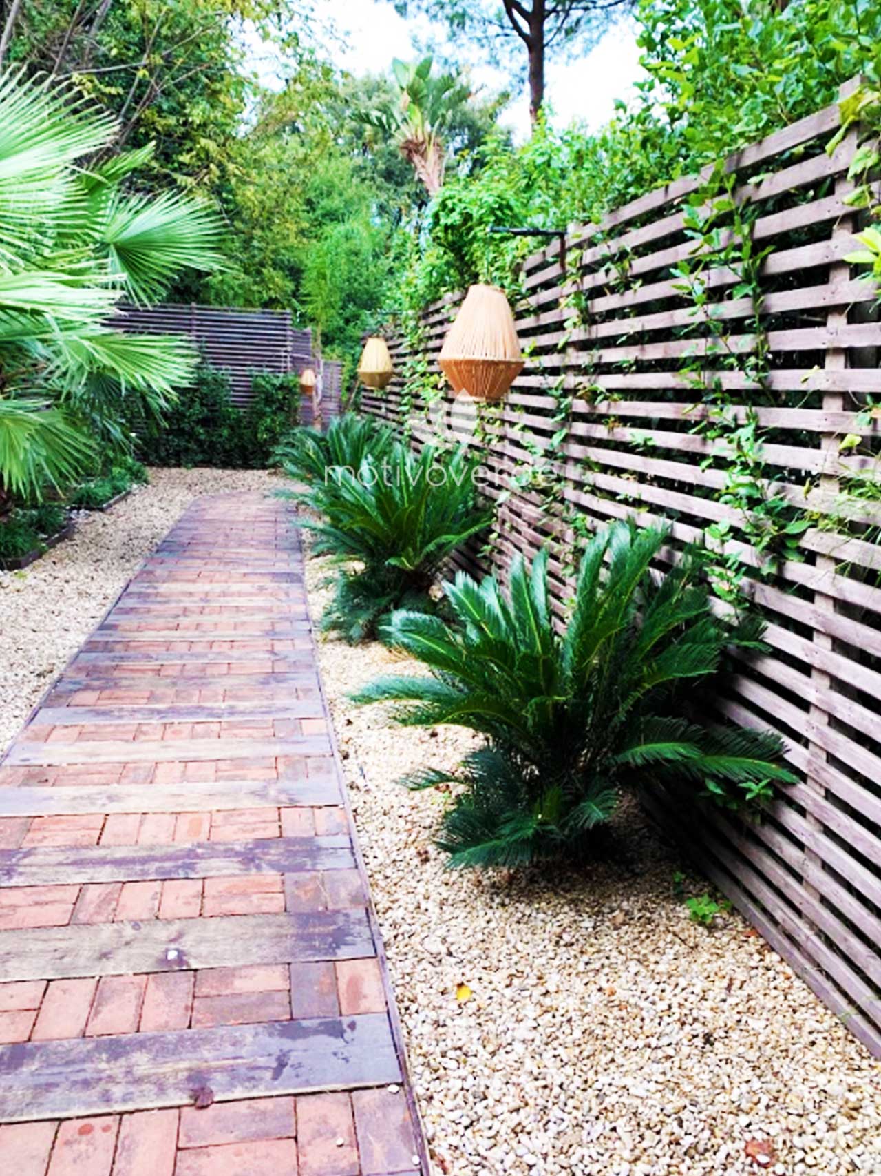 Verticale-progetti_Motivoverde_The-Sanctuary-Roma-6