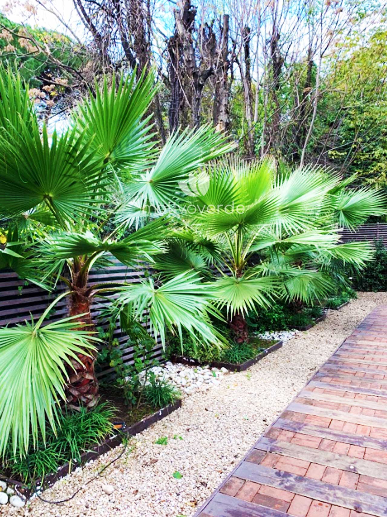 Verticale-progetti_Motivoverde_The-Sanctuary-Roma-7