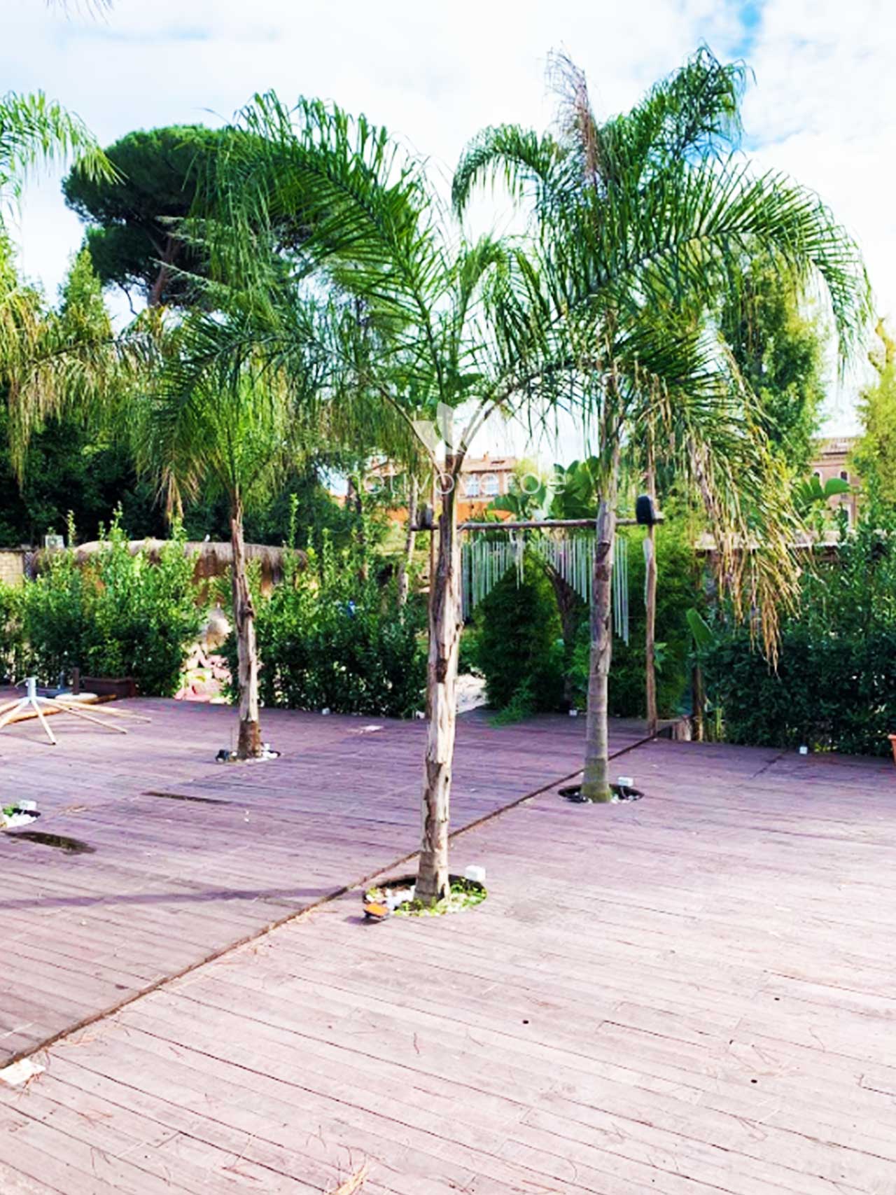 Verticale-progetti_Motivoverde_The-Sanctuary-Roma-9