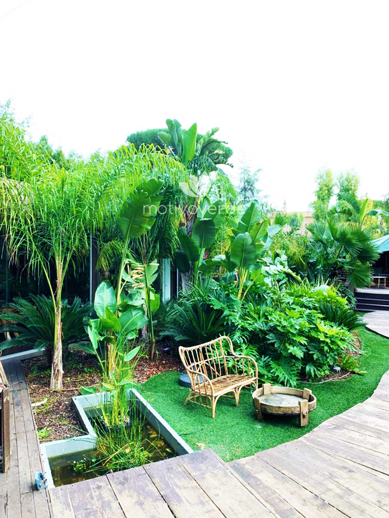 Verticale-progetti_Motivoverde_The-Sanctuary-Roma