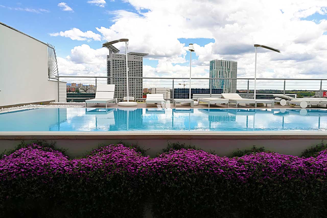 progetti-motivoverde_Aquilani-2