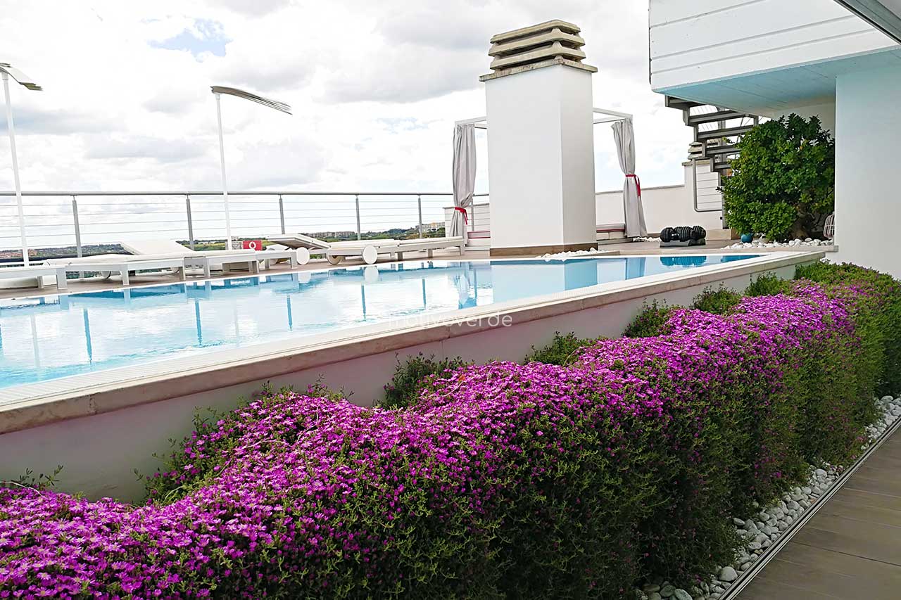 progetti-motivoverde_Aquilani