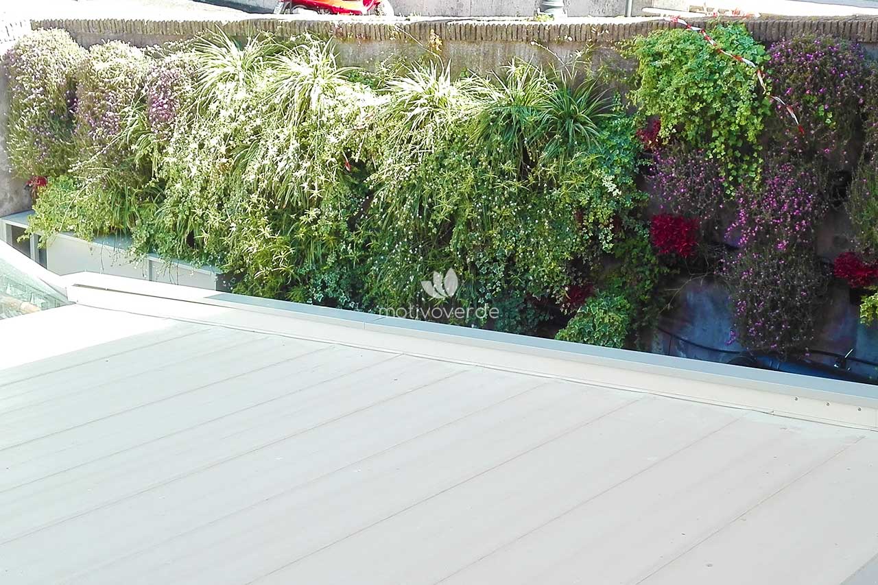 progetti-motivoverde_Madre-Roma-2