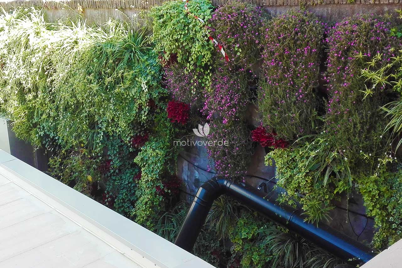 progetti-motivoverde_Madre-Roma-3