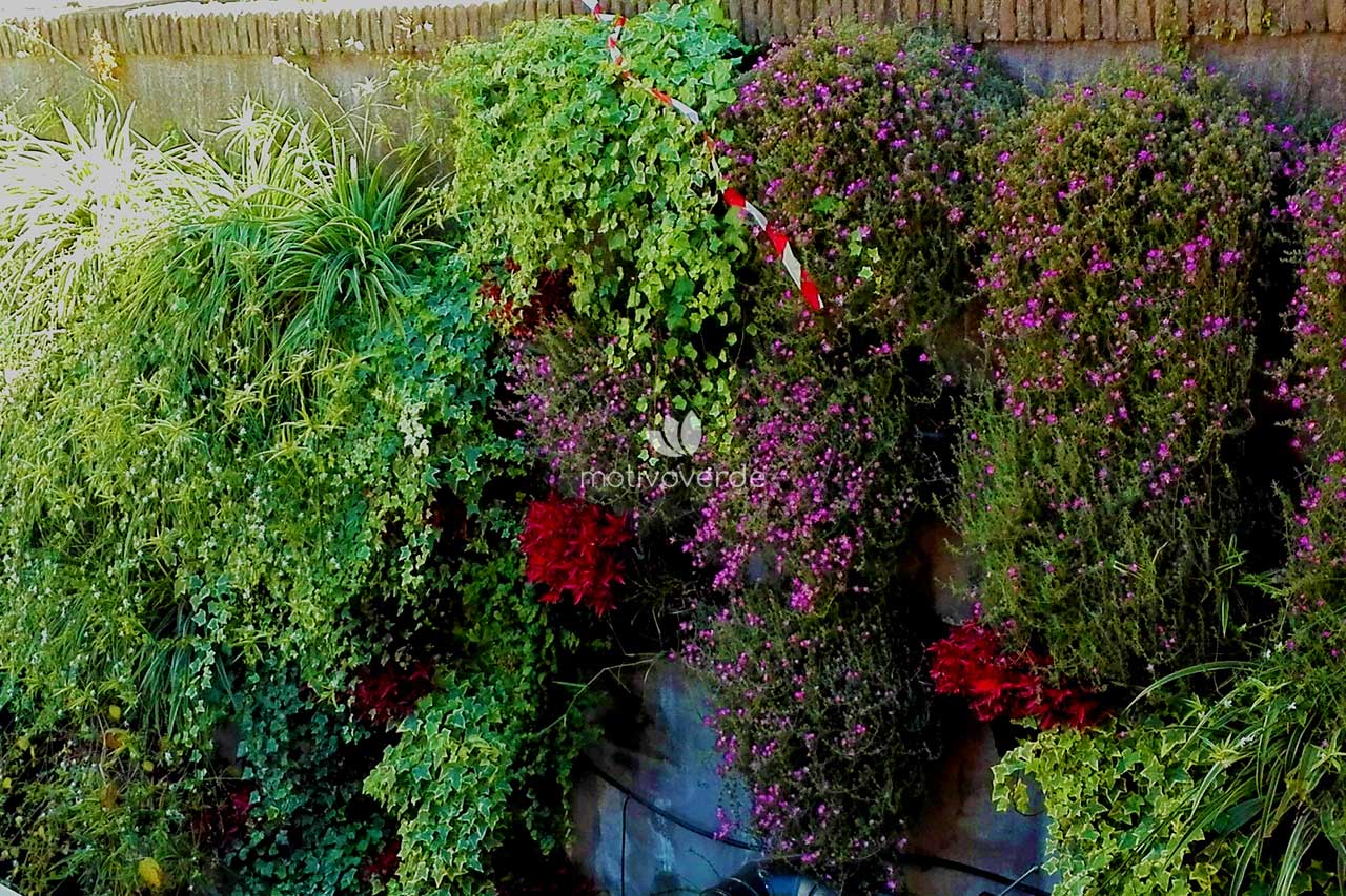 progetti-motivoverde_Madre-Roma