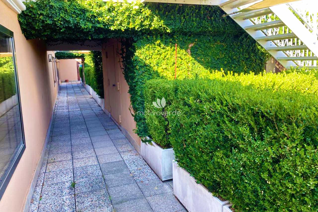 progetti-motivoverde_MaireTecnimont-Flaminio-2