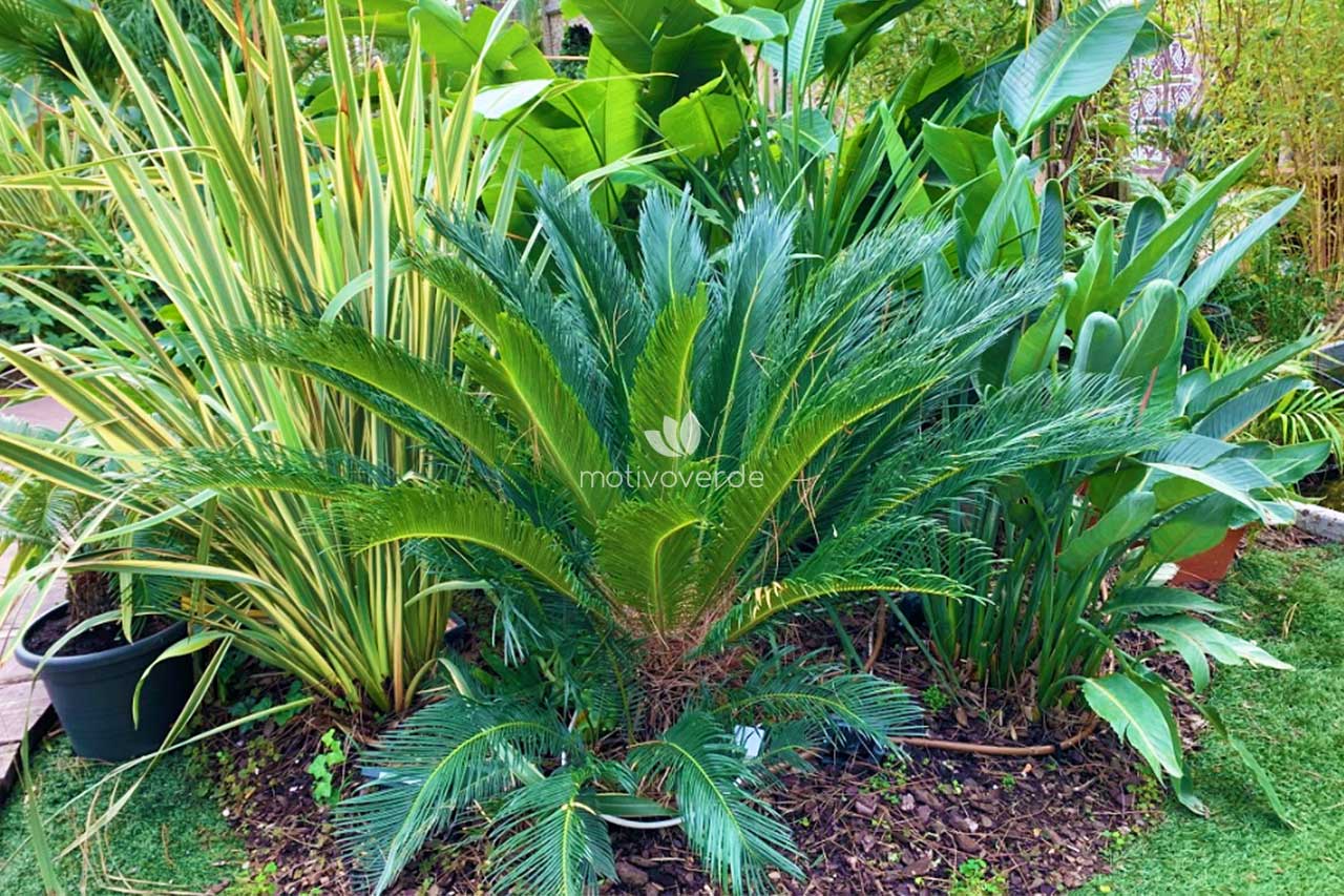 progetti-motivoverde_The-Sanctuary-Roma-4