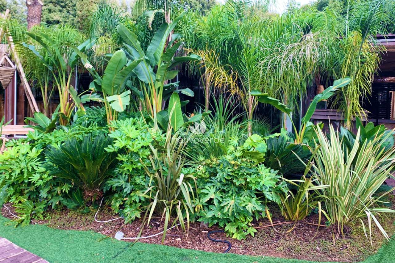 progetti-motivoverde_The-Sanctuary-Roma